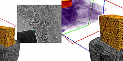 3Dimensional Topology Mapping of Thermoplastic Composites