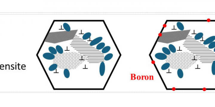 Understanding the effect of boron on the formation of bainite and martensite and resulting mechanical properties