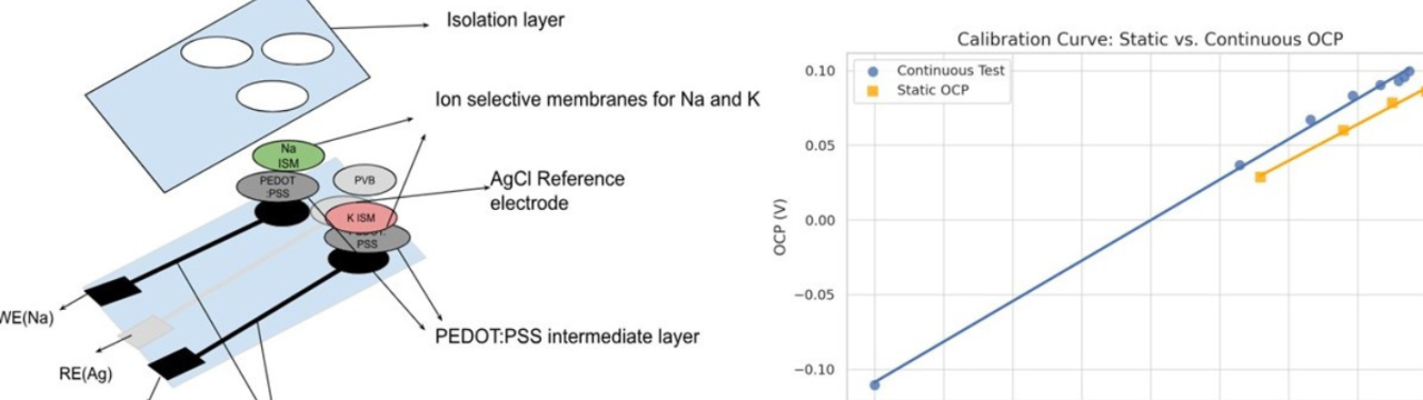 Advancing Personalized Home Care: Microscale Sensors for Daily Urine Analysis and Disease Monitoring