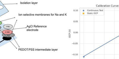 Advancing Personalized Home Care: Microscale Sensors for Daily Urine Analysis and Disease Monitoring