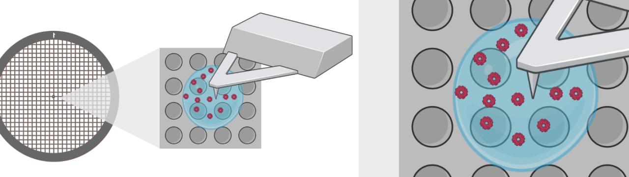 Femto-liter volume sample preparation for cryo-electron microscopy