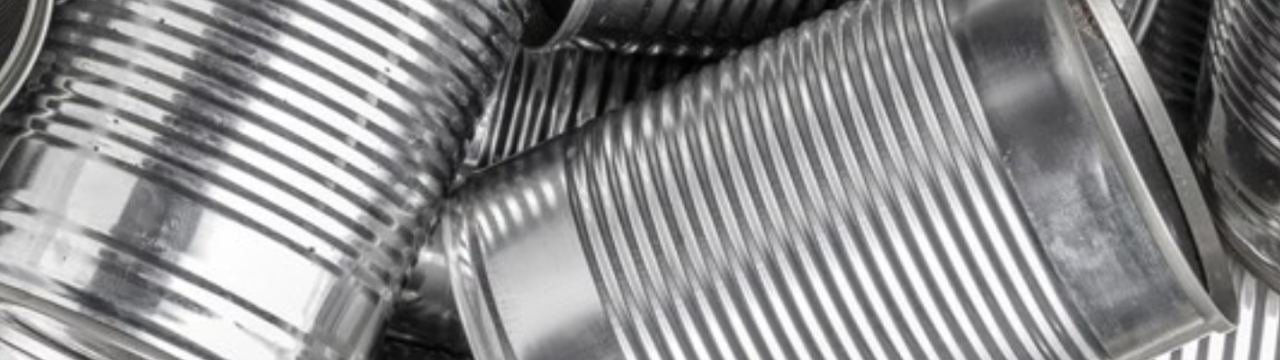 Mechanism of uptake of sulphate, iron, and carbon in TCCT