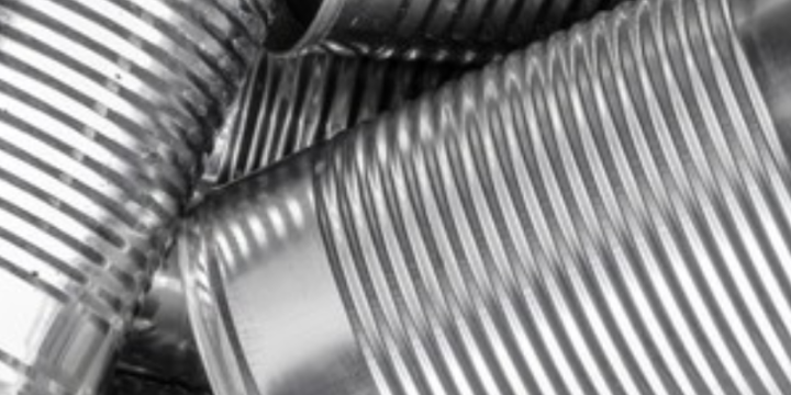 Mechanism of uptake of sulphate, iron, and carbon in TCCT