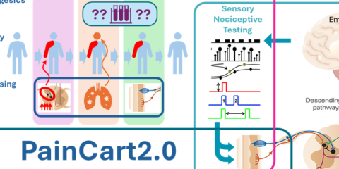 Sensing & Actuation technology enabling early assessment of novel analgesics on the balance between pain reduction and adverse effects