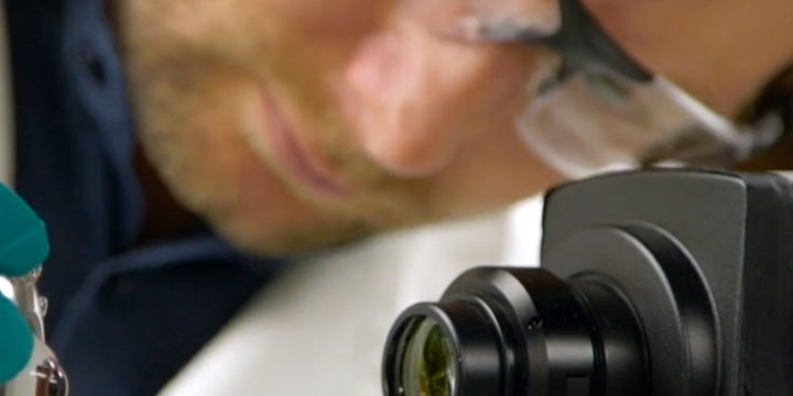 Quantitative spectroscopic retro-illumination imaging of the retina