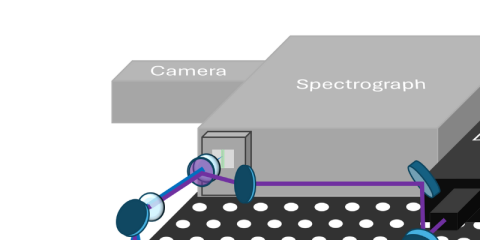 Polymer Raman Identification & Measurement for Enhanced Sorting and Composition ANalysis