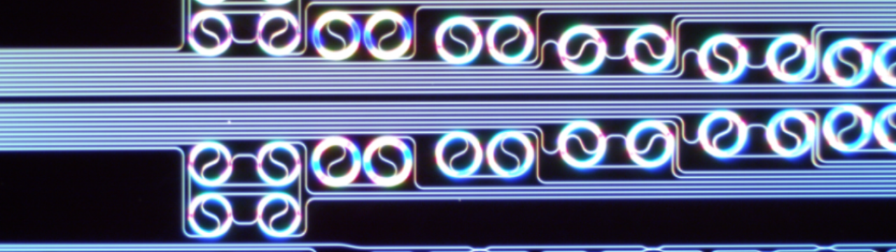 Microscopic Optical-Chip-Based Physcial Unclonable Functions