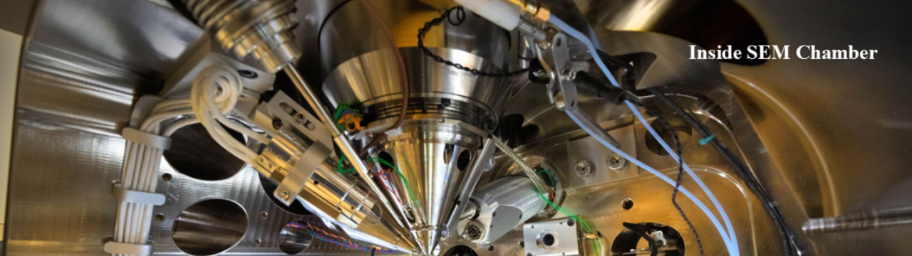 MEMS-Based Projection Column for Multimodal Light-Electron Integrated SEM