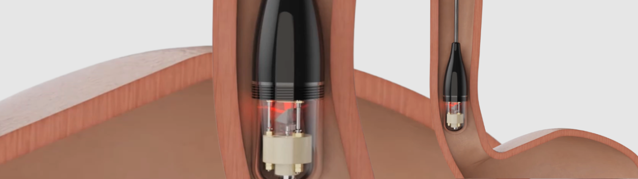 Immuno-OCT Capsule Camera