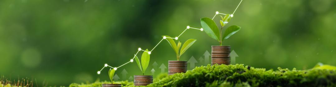 Bijna € 800 miljoen van Nationaal Groeifonds naar 6 innovatieve projecten