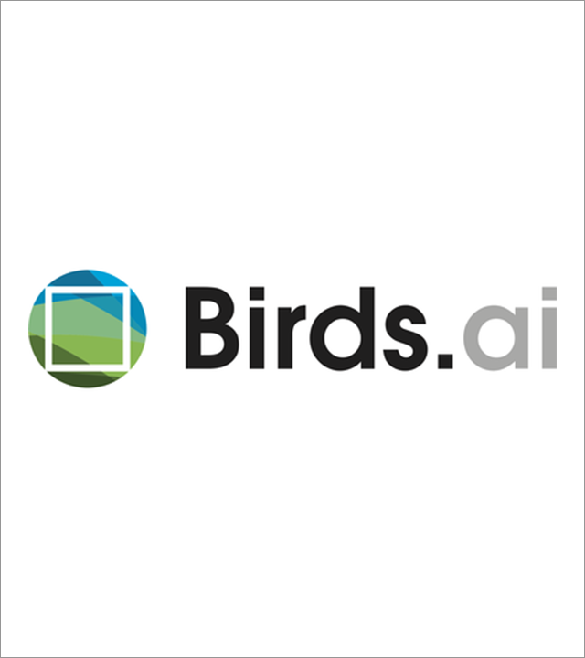 Birds AI