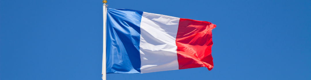 Economic mission to France