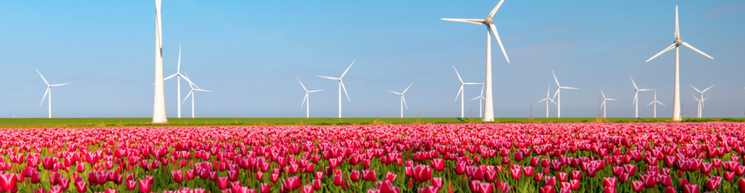 Lower score puts pressure on the Netherlands' position as EU innovation leader