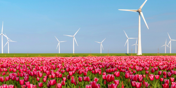 Mindere score zet Nederlandse positie als EU Innovatieleider onder druk