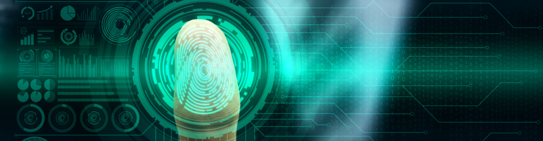 NWO Programmadag 'Onderzoek naar Ondermijnende Criminaliteit'