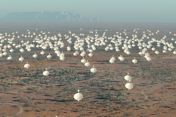 Nederland in wereldtop beeldvorming, opschaling blijft knelpunt