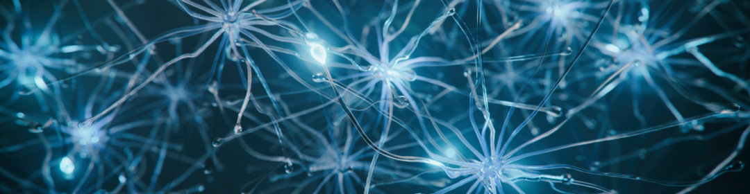 Neuromorphic computing: the brain as a blueprint for sustainable and slim chips