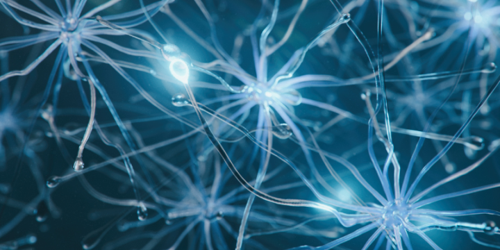 Neuromorphic computing: the brain as a blueprint for sustainable and slim chips