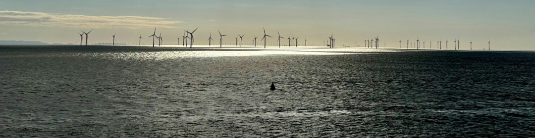 Call | Circular end-of-life solutions for a sustainable offshore energy future
