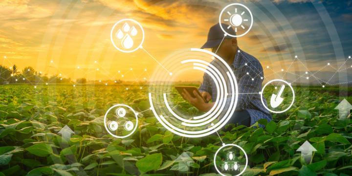 Cross-over PPP Call: Data Science for Crop Breeding