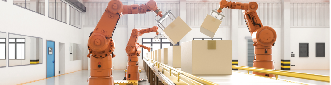 Whitepaper Robotization